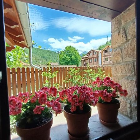 La Fragua De La Vega Estudios Dış mekan fotoğraf