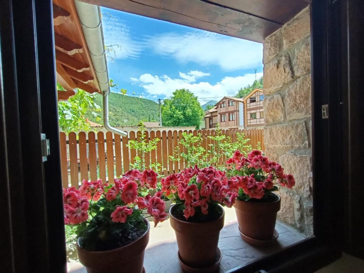 La Fragua De La Vega Estudios Dış mekan fotoğraf